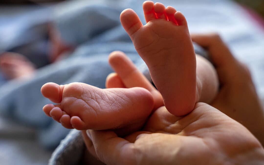El TSJPV permite sumar el tiempo de prestación de maternidad y paternidad en caso de familia monoparental